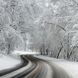 Meet your Posher, Maxine